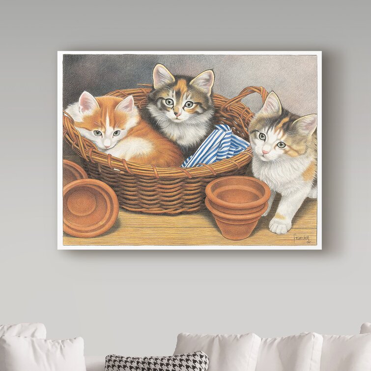 Francien van sale westering cats